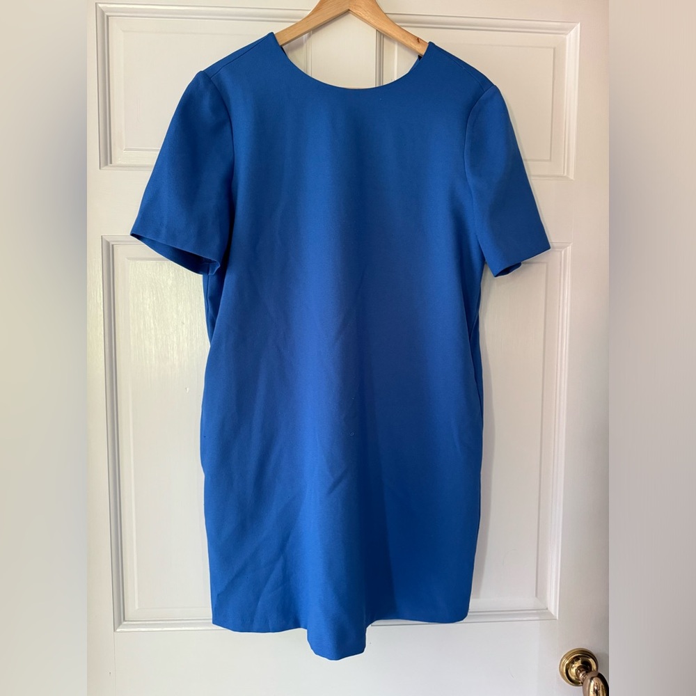 Royal Blue Shift Dress